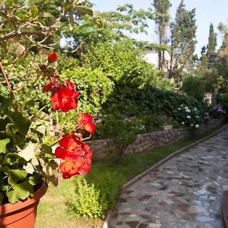 Bed & Breakfast Mario คิร์ก ภายนอก รูปภาพ